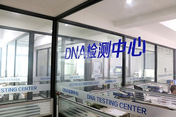 ɶDNA